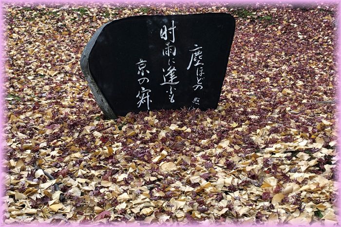 f:id:nakkacho902:20201214133643j:plain