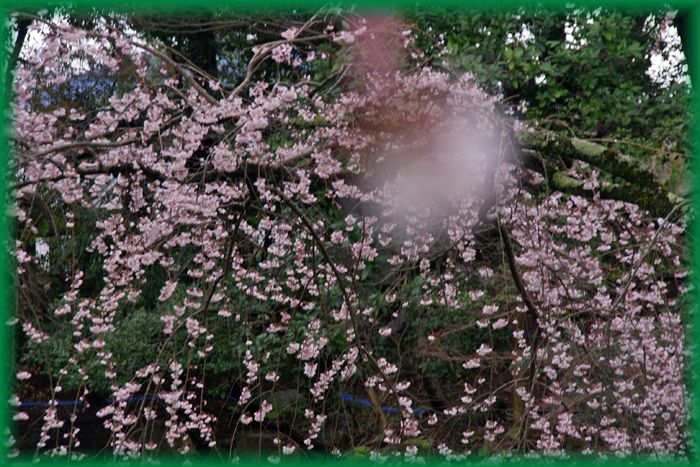 f:id:nakkacho902:20210313144926j:plain