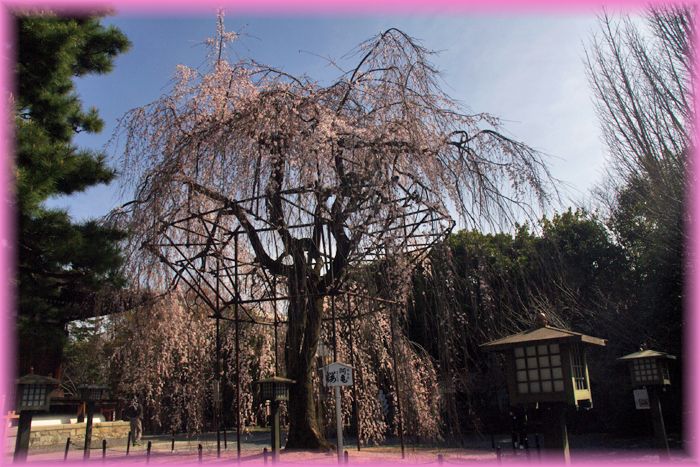 f:id:nakkacho902:20210322095605j:plain