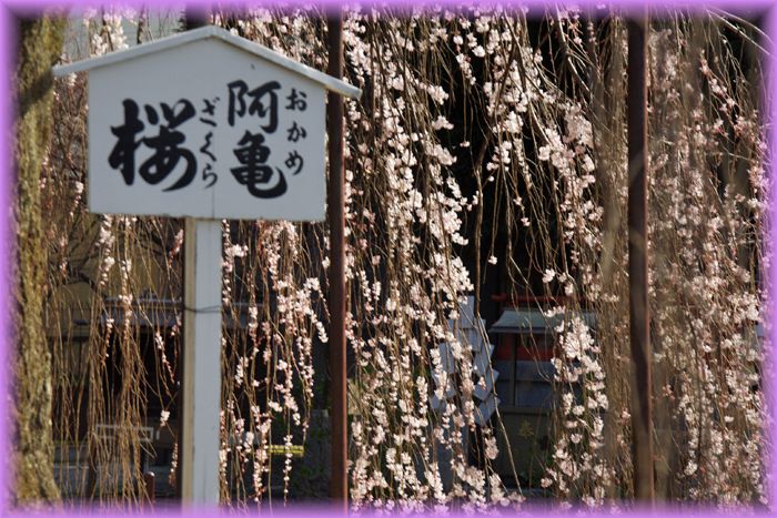 f:id:nakkacho902:20210322095628j:plain