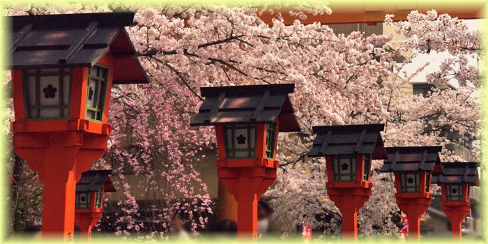 f:id:nakkacho902:20210402170642j:plain