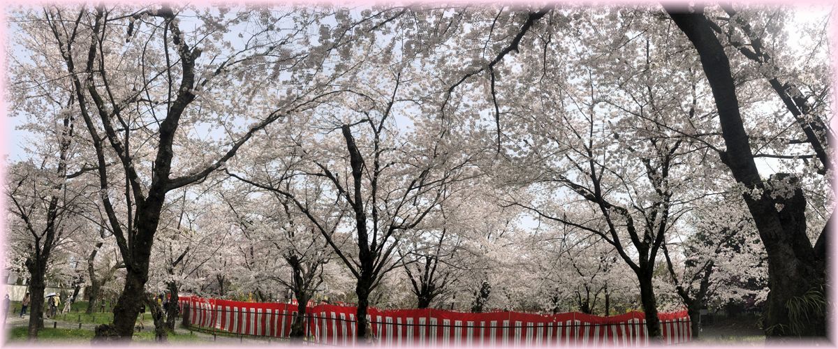 f:id:nakkacho902:20210402170723j:plain