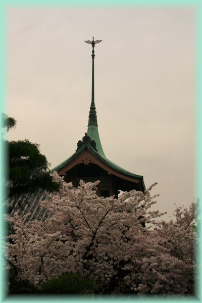f:id:nakkacho902:20210403210716j:plain