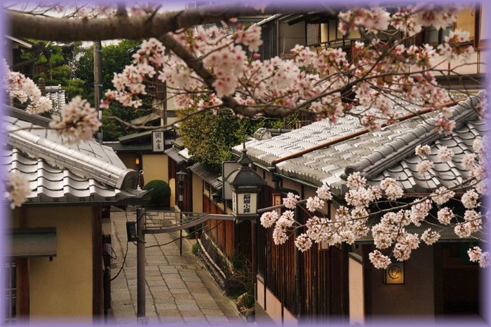 f:id:nakkacho902:20210403210801j:plain