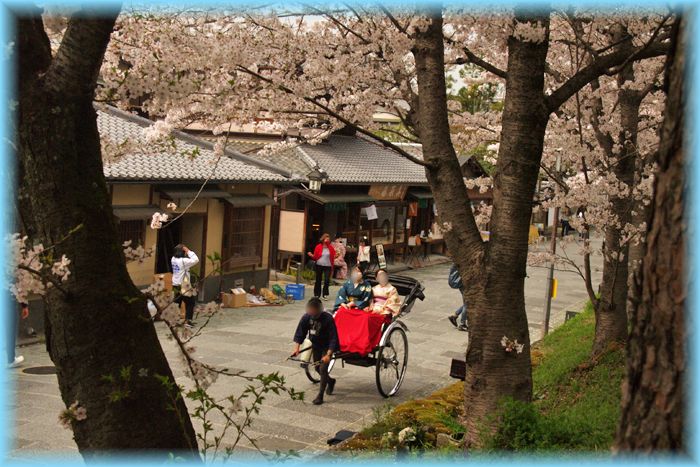 f:id:nakkacho902:20210403210812j:plain