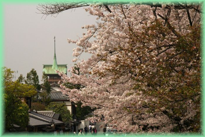 f:id:nakkacho902:20210403210827j:plain