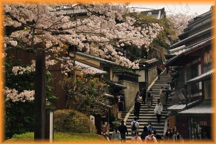 f:id:nakkacho902:20210403211011j:plain
