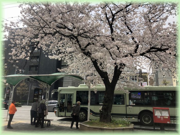 f:id:nakkacho902:20210406143224j:plain