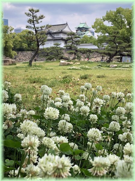 f:id:nakkacho902:20210520110859j:plain