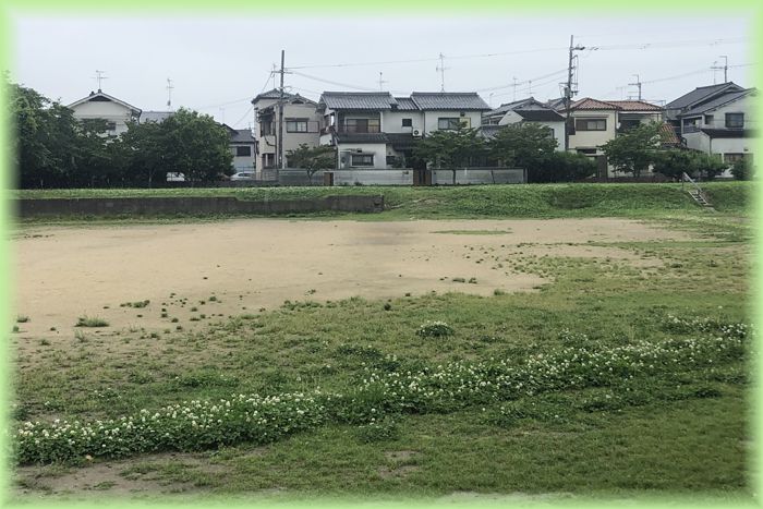 f:id:nakkacho902:20210521222303j:plain