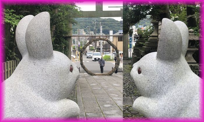 f:id:nakkacho902:20210702113037j:plain