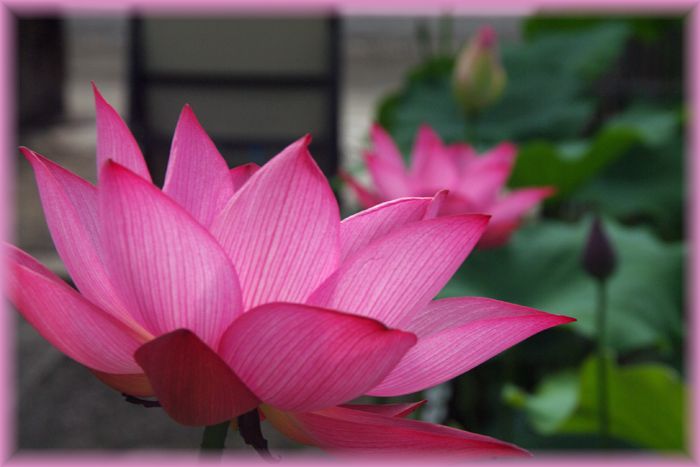 f:id:nakkacho902:20210726093108j:plain