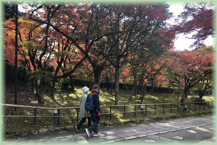 f:id:nakkacho902:20211127211103j:plain