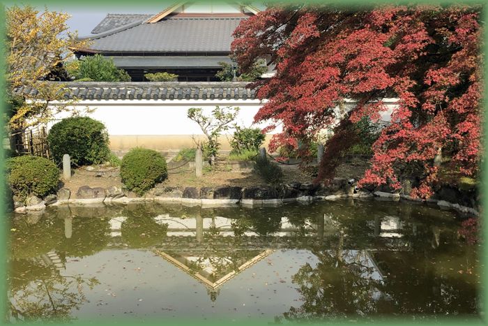 f:id:nakkacho902:20211127211113j:plain