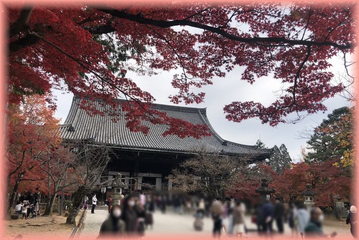 f:id:nakkacho902:20211127211206j:plain