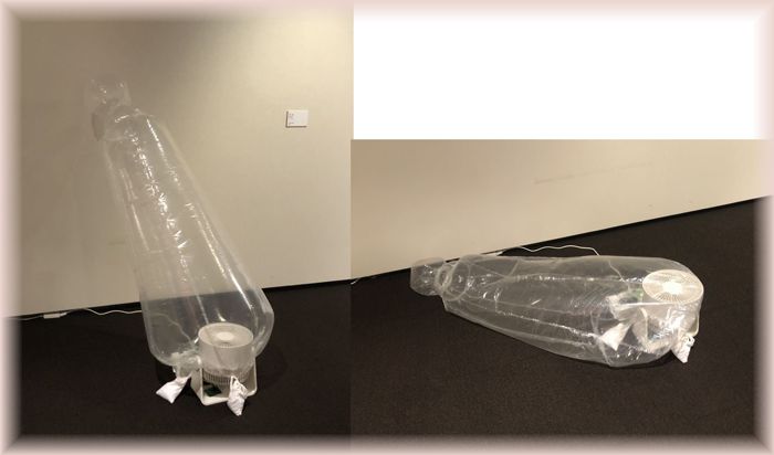 f:id:nakkacho902:20220207103028j:plain