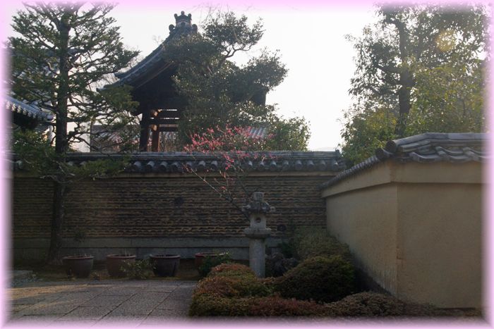 f:id:nakkacho902:20220313211941j:plain