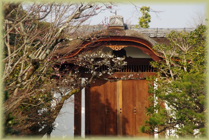 f:id:nakkacho902:20220313212042j:plain