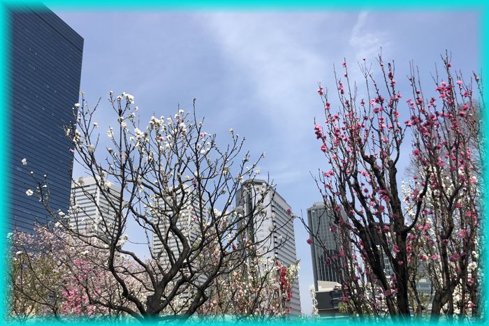 f:id:nakkacho902:20220408132059j:plain