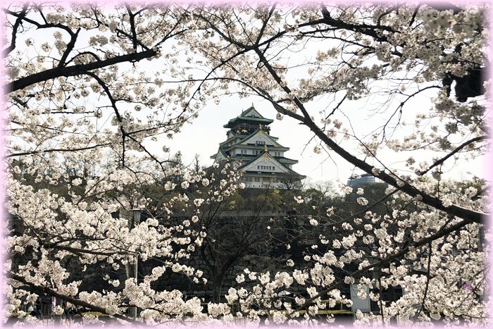 f:id:nakkacho902:20220408140254j:plain