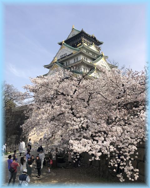f:id:nakkacho902:20220408140319j:plain