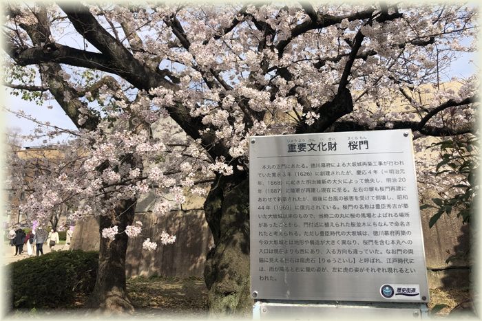 f:id:nakkacho902:20220408140352j:plain