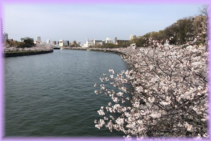 f:id:nakkacho902:20220408140411j:plain