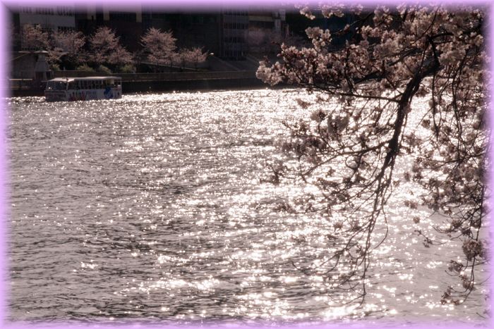 f:id:nakkacho902:20220408140419j:plain