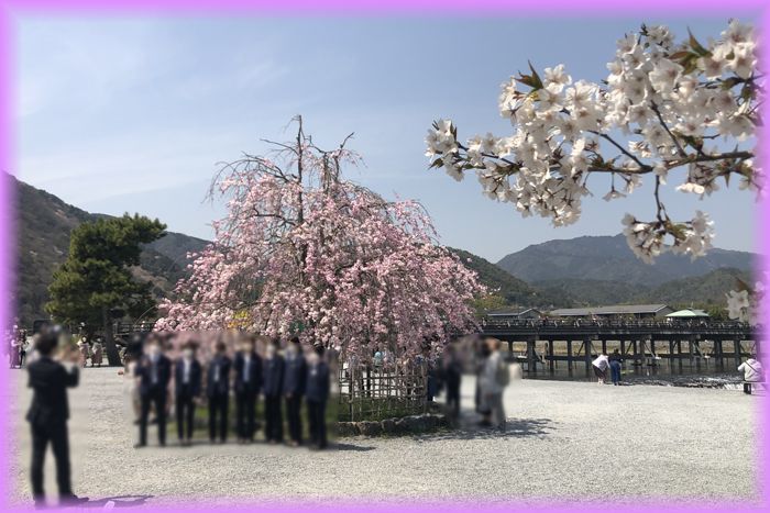f:id:nakkacho902:20220414163508j:plain