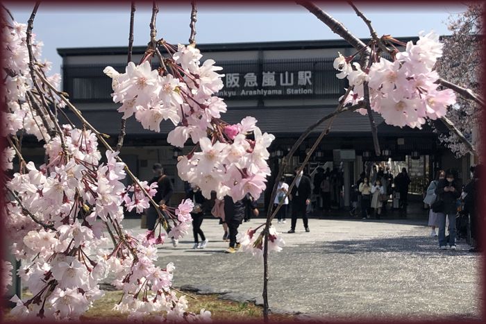 f:id:nakkacho902:20220414163517j:plain
