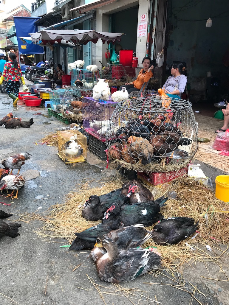 f:id:nakker10:20190901235951j:image f:id:nakker10:20190901235951j:image