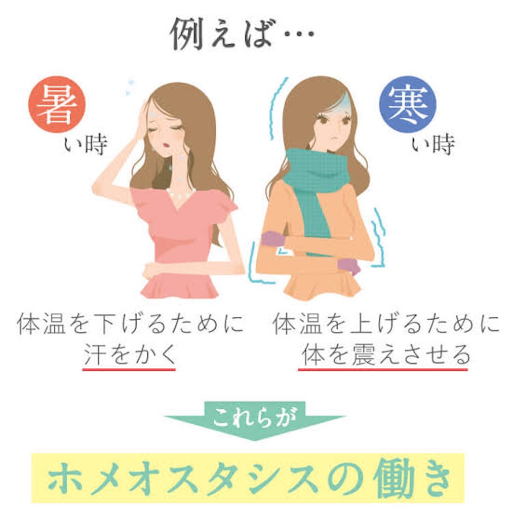 f:id:nako0211:20210724161114j:image