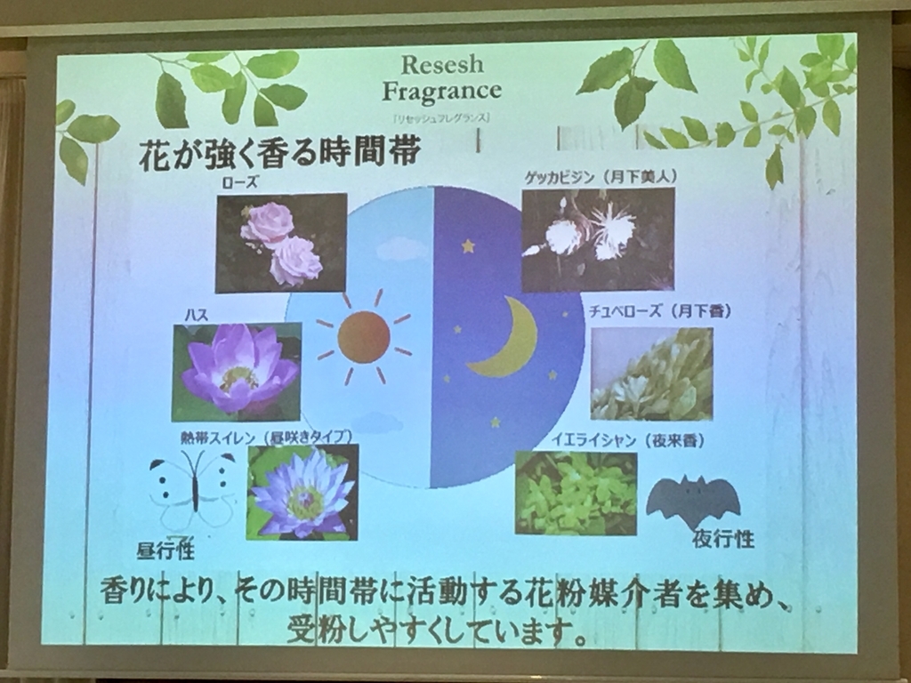 f:id:nakobu:20190222171136j:plain f:id:nakobu:20190222171136j:plain