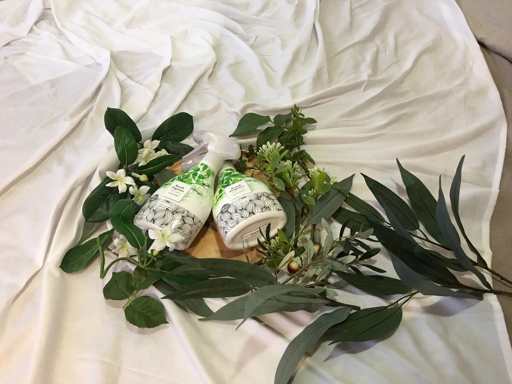 f:id:nakobu:20190222172004j:plain f:id:nakobu:20190222172004j:plain