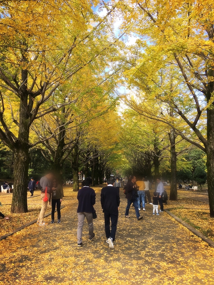 f:id:nakobu:20191118174557j:plain f:id:nakobu:20191118174557j:plain