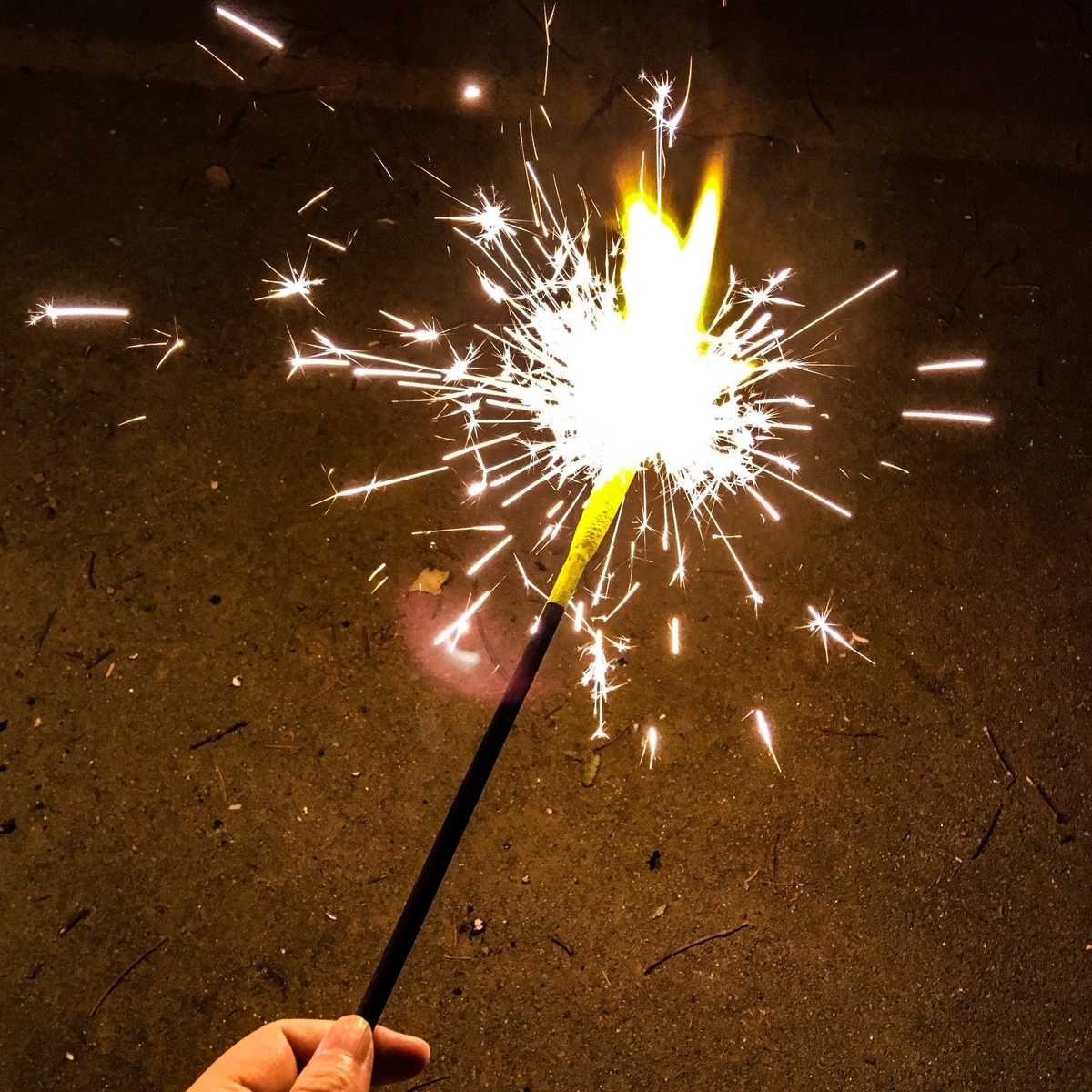 f:id:nakobu:20191118175839j:plain f:id:nakobu:20191118175839j:plain