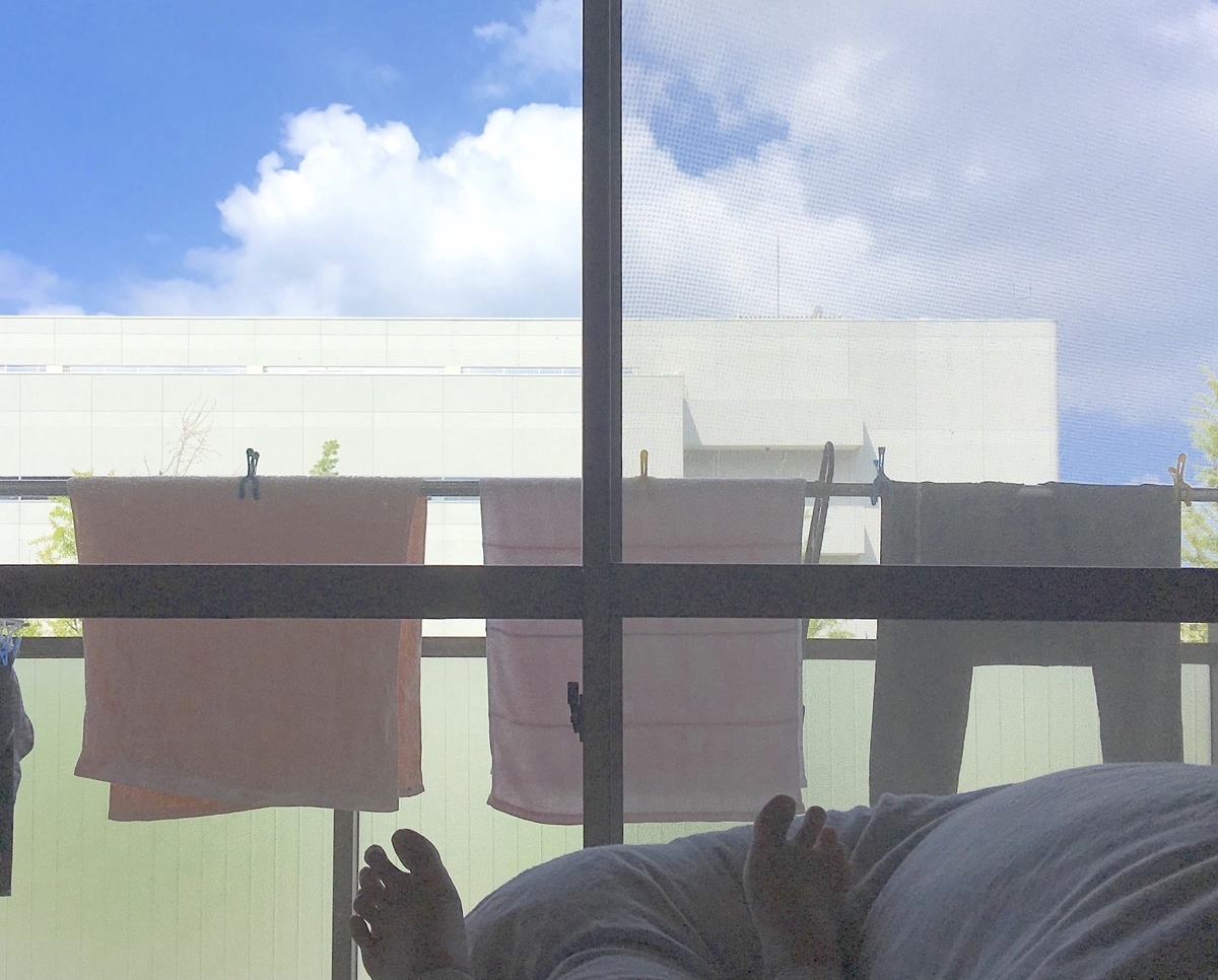 f:id:nakobu:20191118190117j:plain f:id:nakobu:20191118190117j:plain