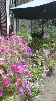 f:id:nakodesign02:20090908121240j:image:left