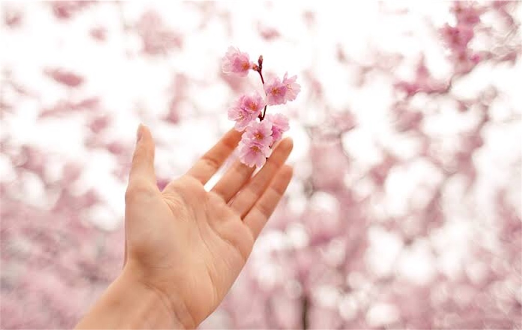 f:id:nakoro37:20190414183920j:image f:id:nakoro37:20190414183920j:image