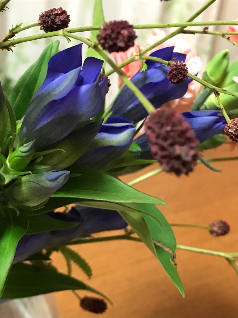 f:id:nakwach8esalen:20170922203710j:image f:id:nakwach8esalen:20170922203710j:image
