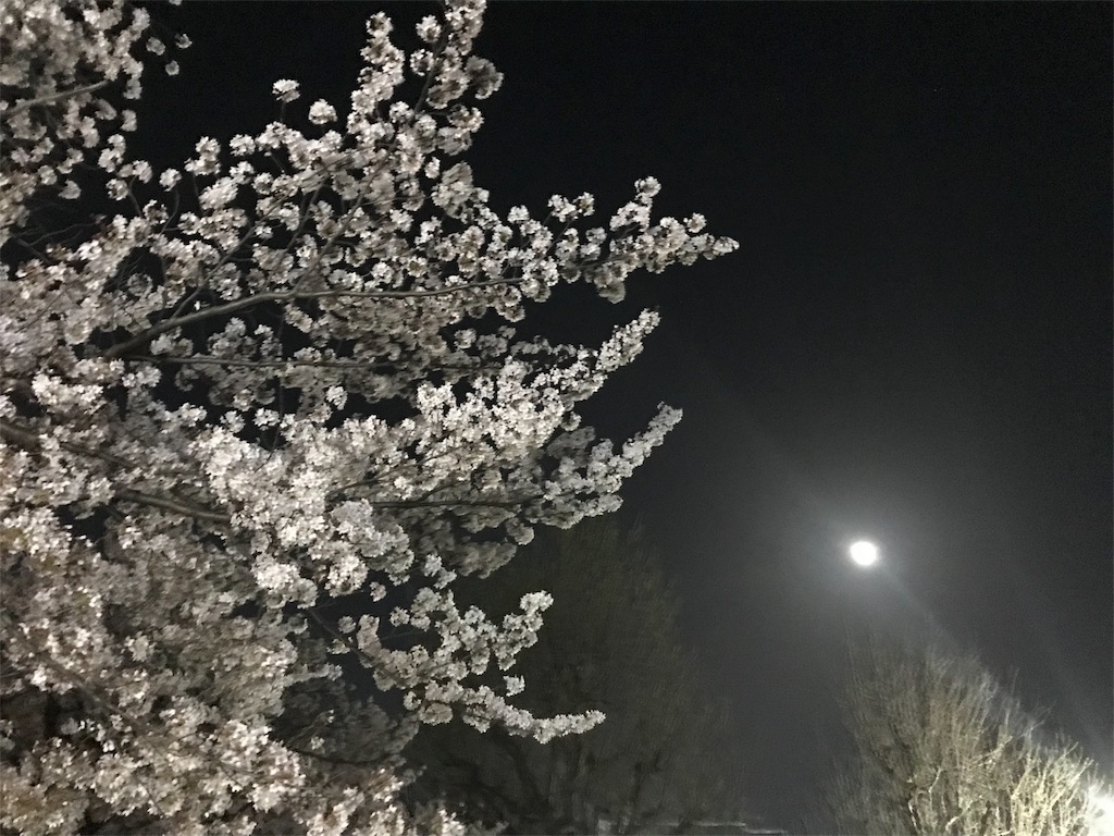 f:id:nakwach8esalen:20180408214814j:image f:id:nakwach8esalen:20180408214814j:image