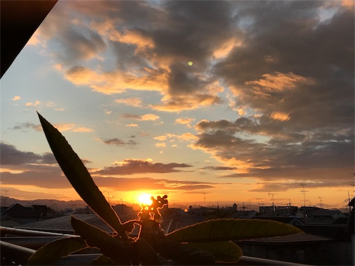 f:id:nakwach8esalen:20191204165932j:image f:id:nakwach8esalen:20191204165932j:image