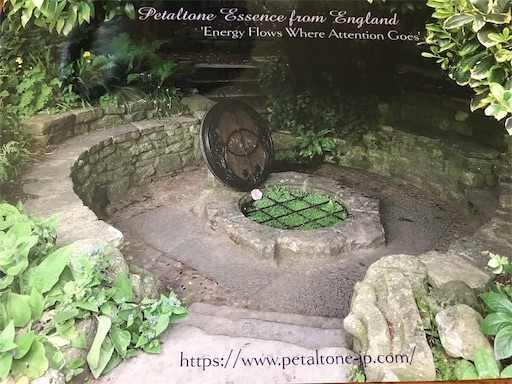 f:id:nakwach8esalen:20191204190444j:image f:id:nakwach8esalen:20191204190444j:image