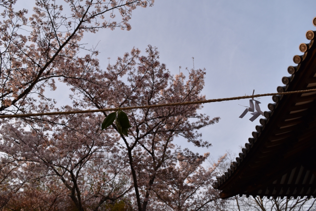f:id:nalacarte:20170409135718j:plain f:id:nalacarte:20170409135718j:plain