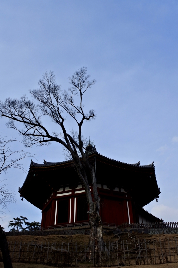 f:id:nalacarte:20180123170158j:plain f:id:nalacarte:20180123170158j:plain