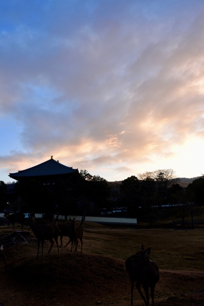f:id:nalacarte:20180212091737j:plain f:id:nalacarte:20180212091737j:plain