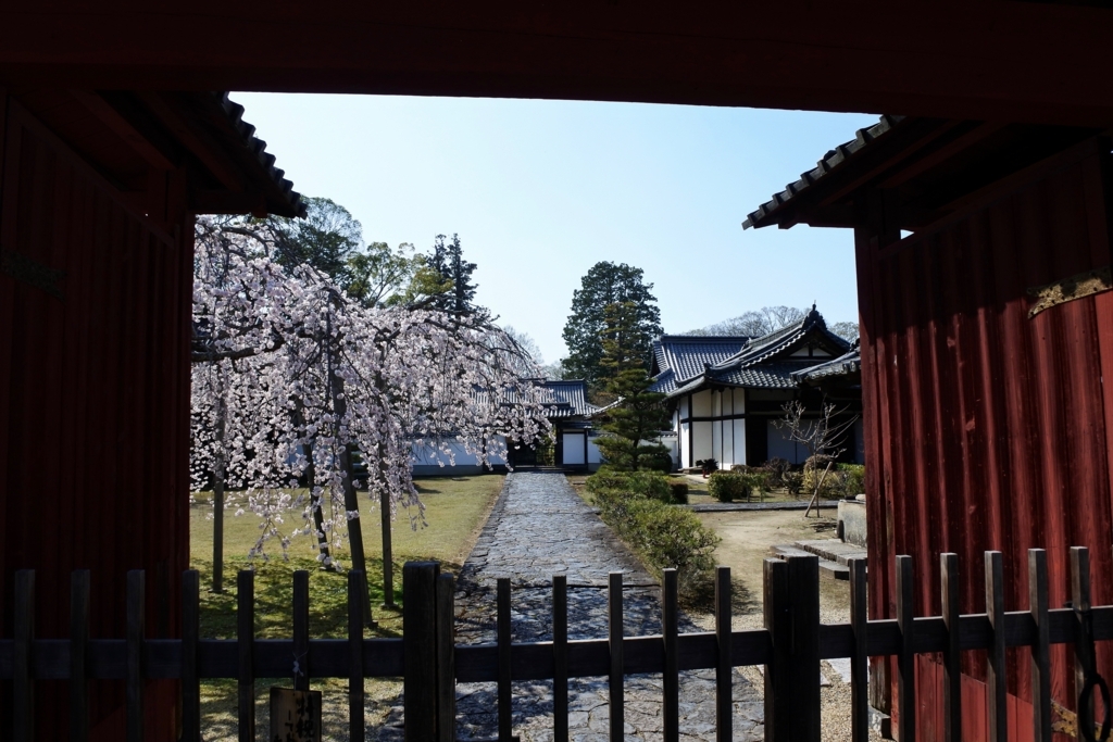 f:id:nalacarte:20180402102120j:plain f:id:nalacarte:20180402102120j:plain