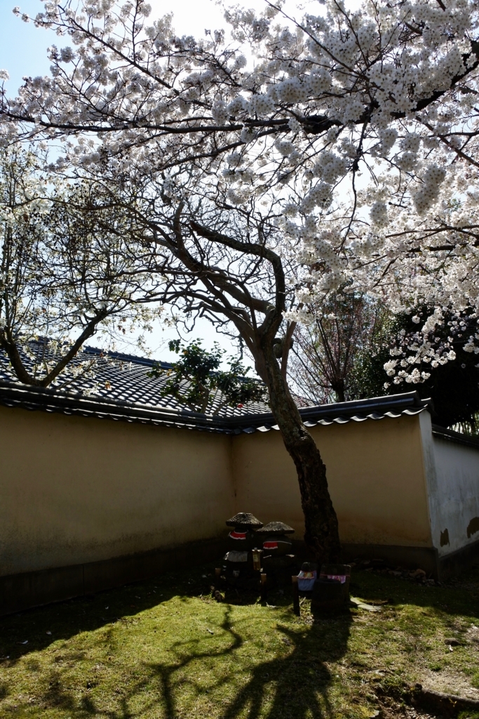 f:id:nalacarte:20180402102421j:plain f:id:nalacarte:20180402102421j:plain