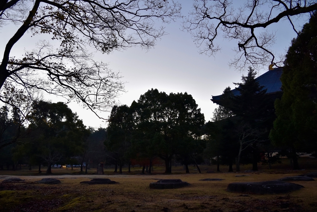 f:id:nalacarte:20181208164742j:plain f:id:nalacarte:20181208164742j:plain