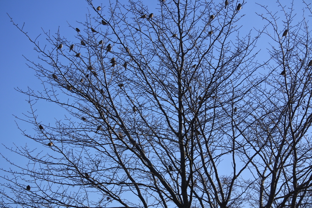 f:id:nalacarte:20190215170732j:plain f:id:nalacarte:20190215170732j:plain